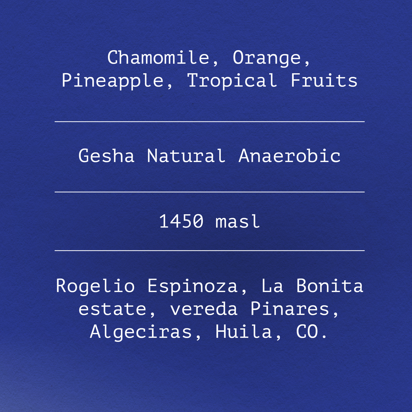 Gesha by Rogelio Espinoza