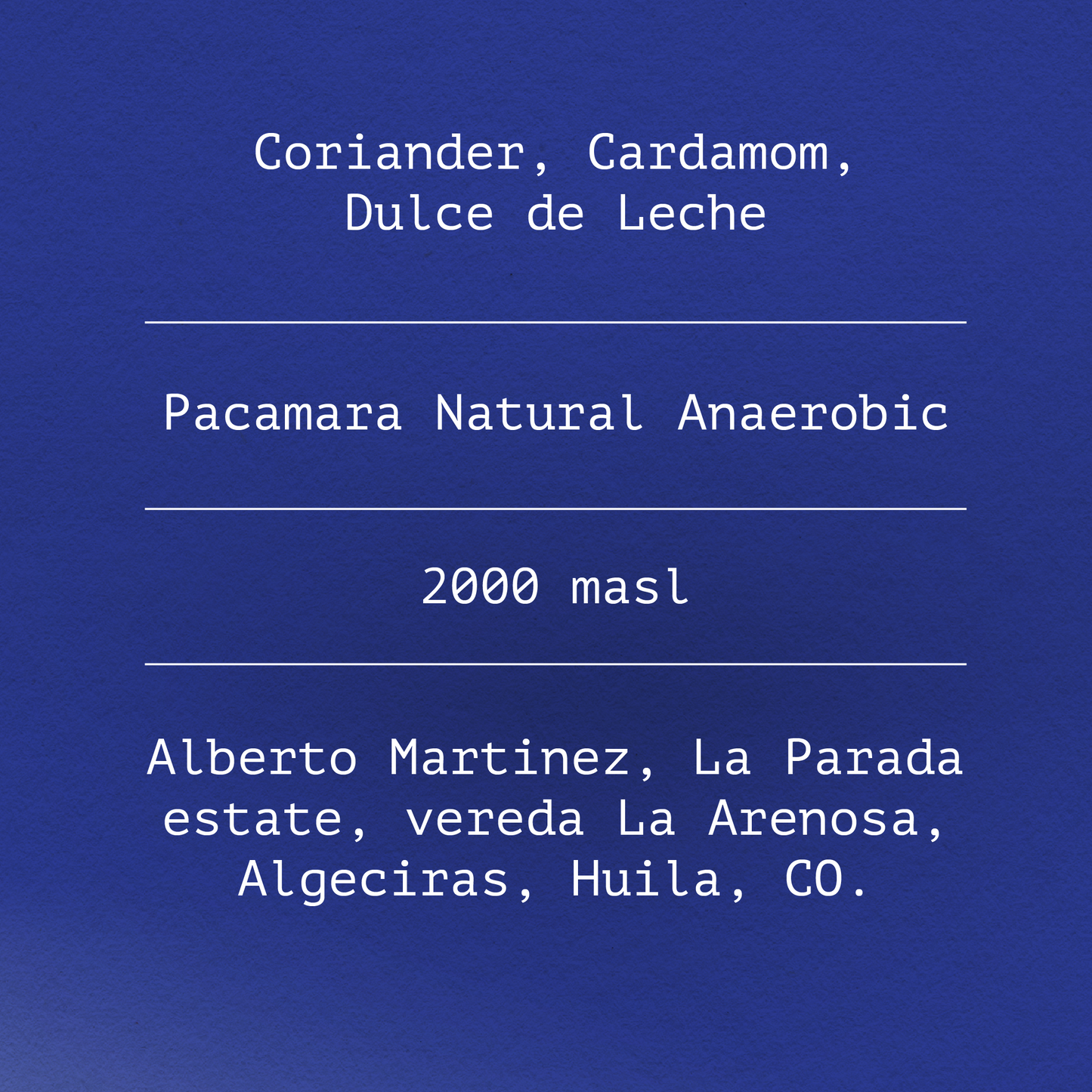 Pacamara by Alberto Martinez