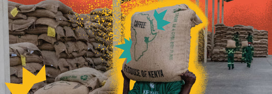 Differences Between Coffee from Kenya, Ethiopia, and Colombia: A Journey with Cuatro Vientos Specialty Origins
