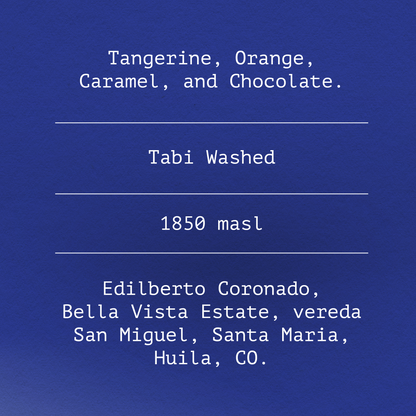 Tabi Washed By Edilberto Coronado