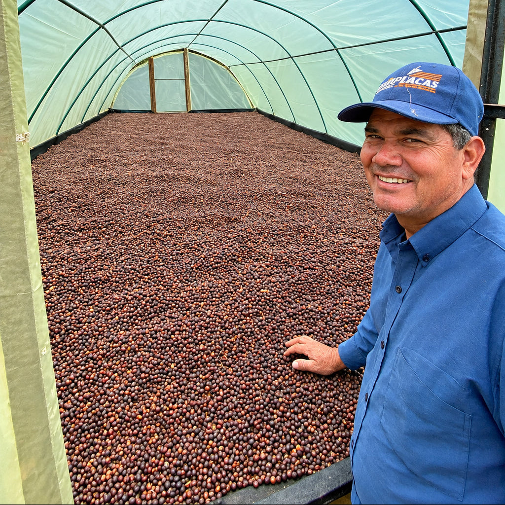José Espinoza - Gesha Natural Bolsa de 3 Kg