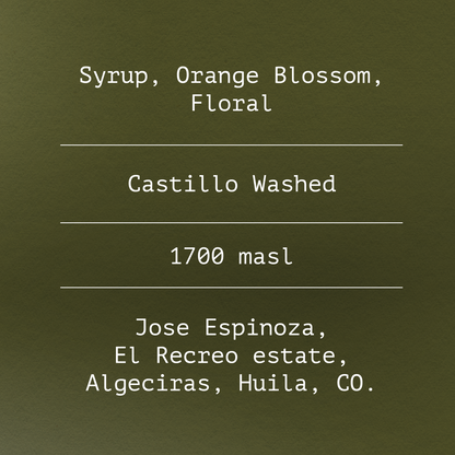 Castillo by Jose Espinoza