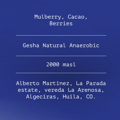 Gesha by Alberto Martinez