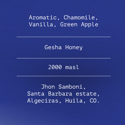 Gesha by Jhon Samboni