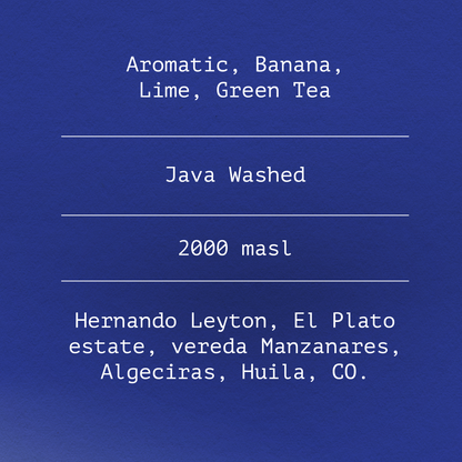 Java by Hernando Leyton