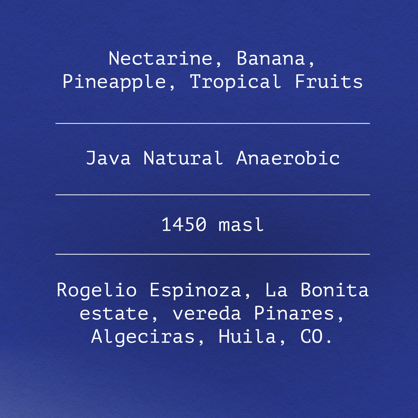 Java by Rogelio Espinoza