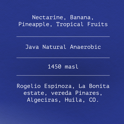 Java by Rogelio Espinoza