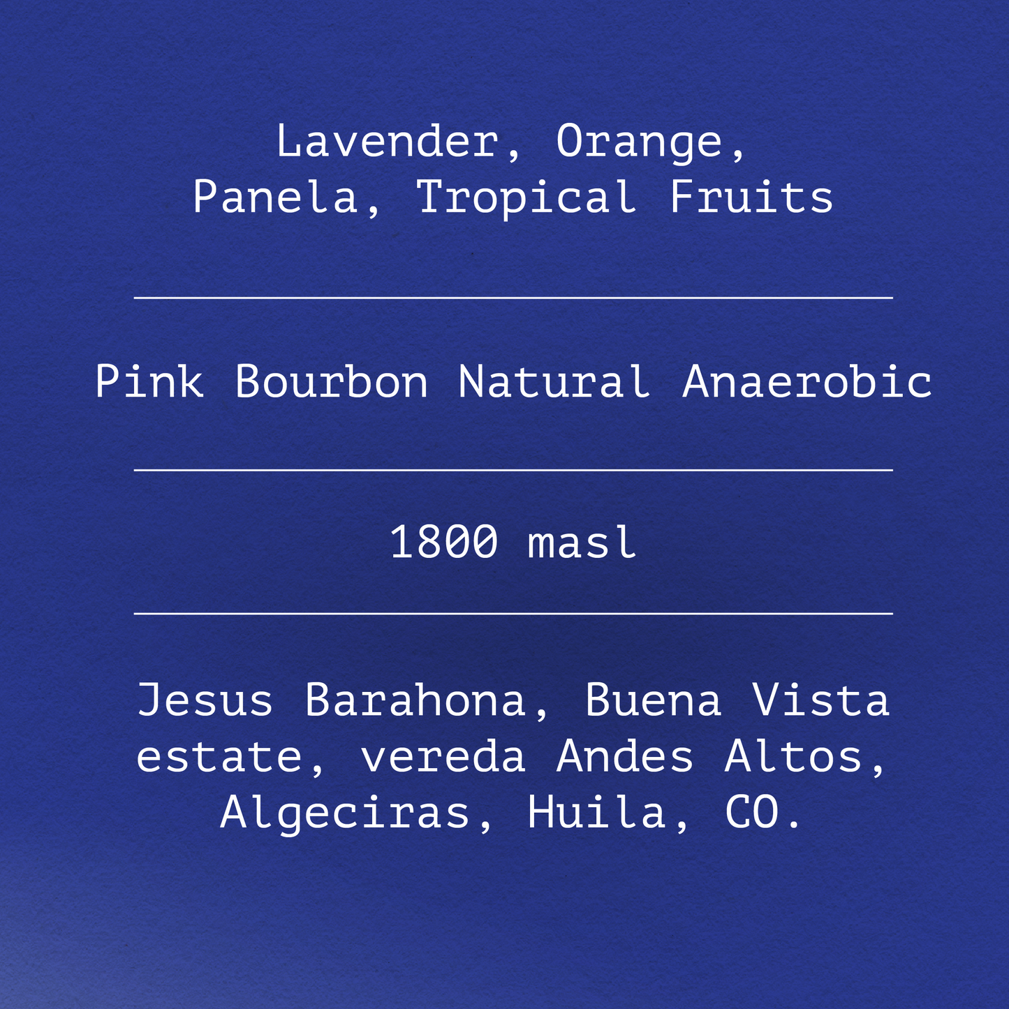 Pink Bourbon by Jesus Barahona