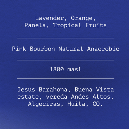 Pink Bourbon by Jesus Barahona