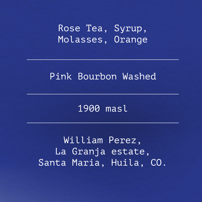 Pink Bourbon by William Perez